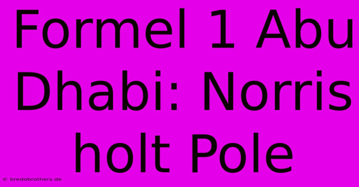 Formel 1 Abu Dhabi: Norris Holt Pole