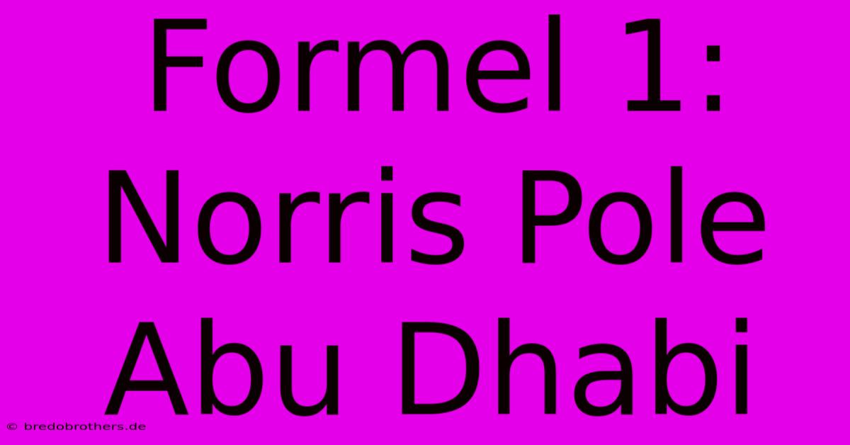 Formel 1: Norris Pole Abu Dhabi