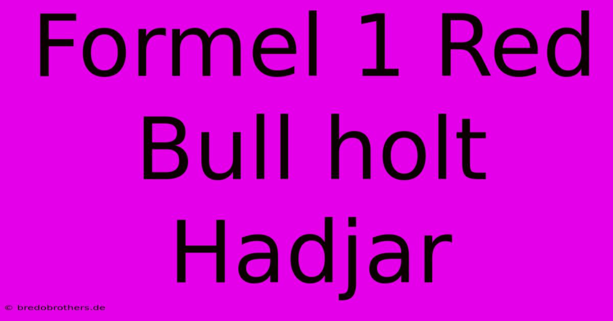 Formel 1 Red Bull Holt Hadjar