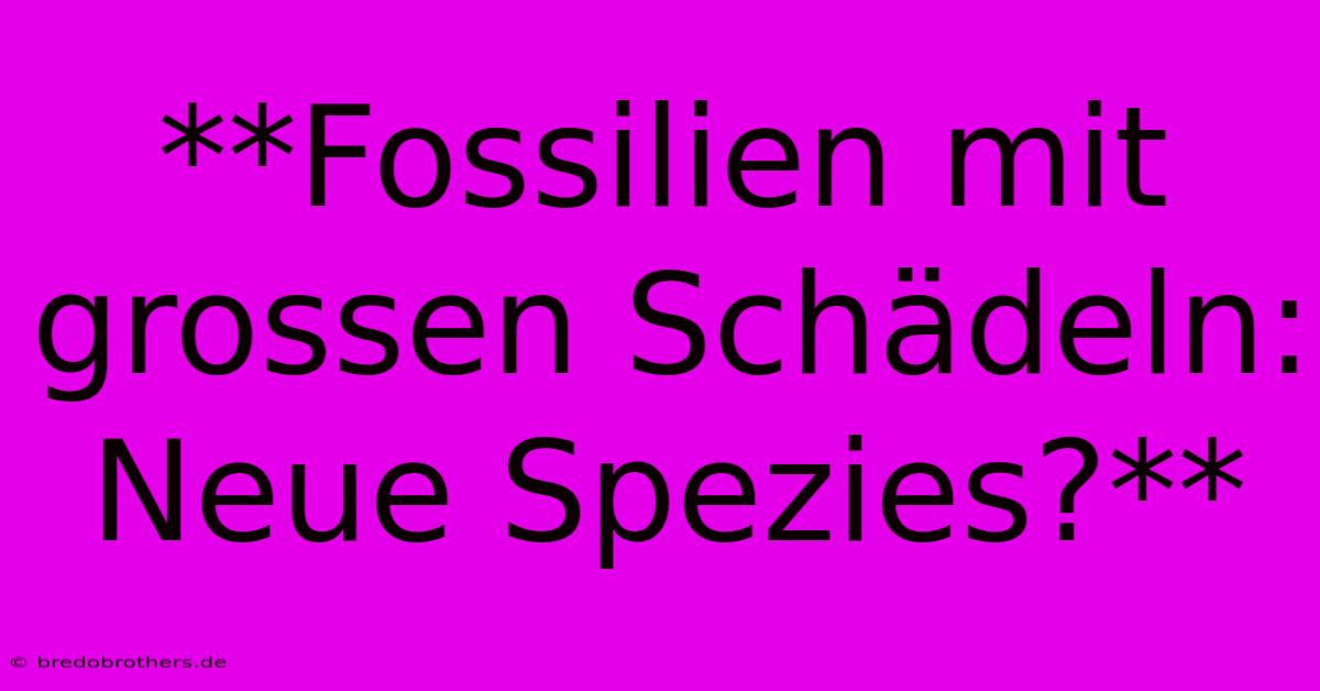 **Fossilien Mit Grossen Schädeln: Neue Spezies?**