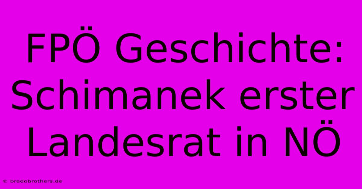 FPÖ Geschichte: Schimanek Erster Landesrat In NÖ