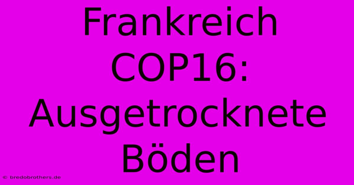 Frankreich COP16: Ausgetrocknete Böden