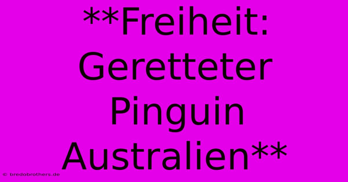 **Freiheit: Geretteter Pinguin Australien**