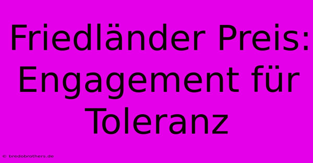 Friedländer Preis:  Engagement Für Toleranz