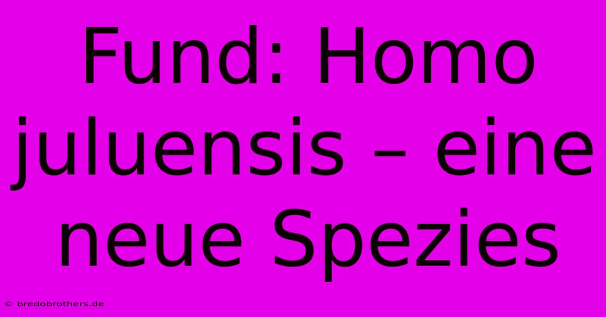 Fund: Homo Juluensis – Eine Neue Spezies