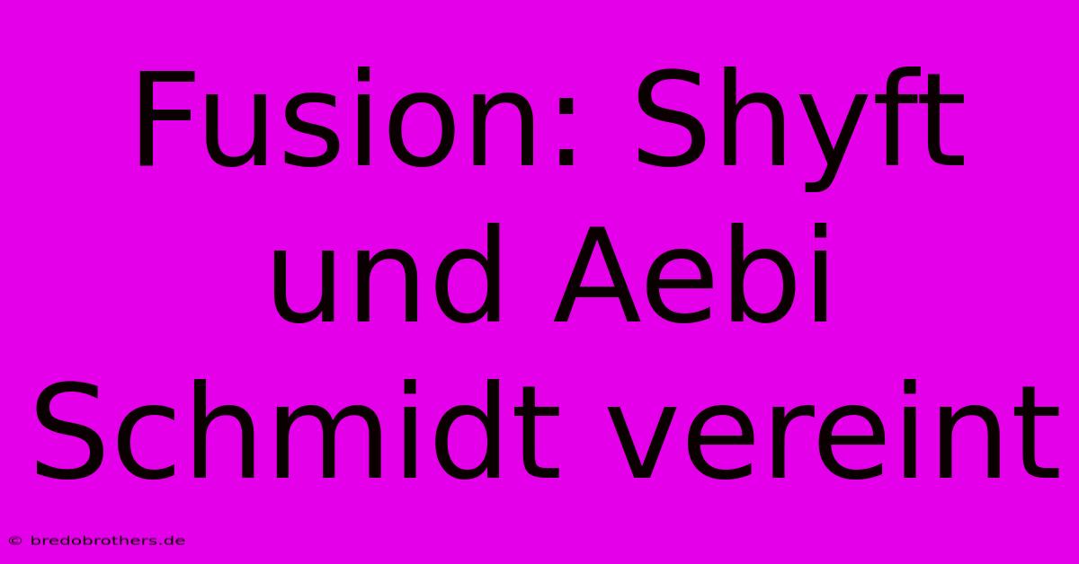 Fusion: Shyft Und Aebi Schmidt Vereint