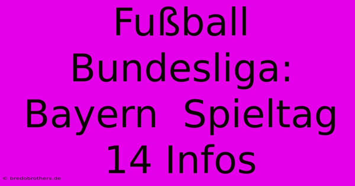 Fußball Bundesliga: Bayern  Spieltag 14 Infos