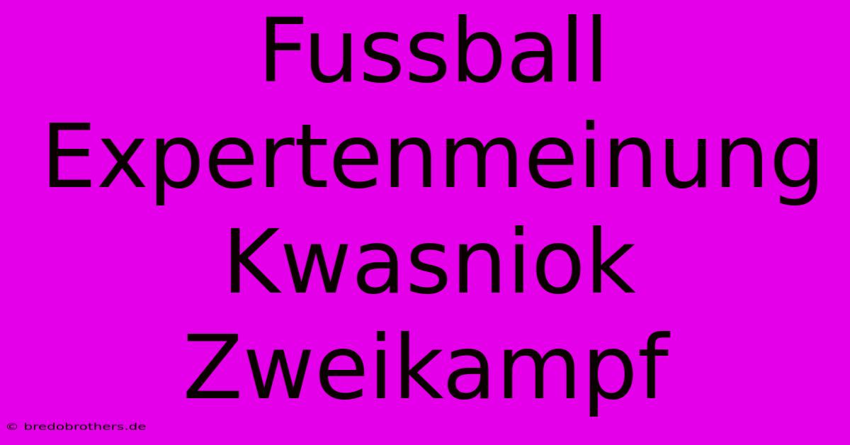 Fussball Expertenmeinung Kwasniok Zweikampf