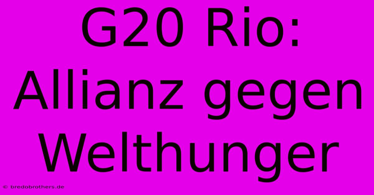 G20 Rio: Allianz Gegen Welthunger