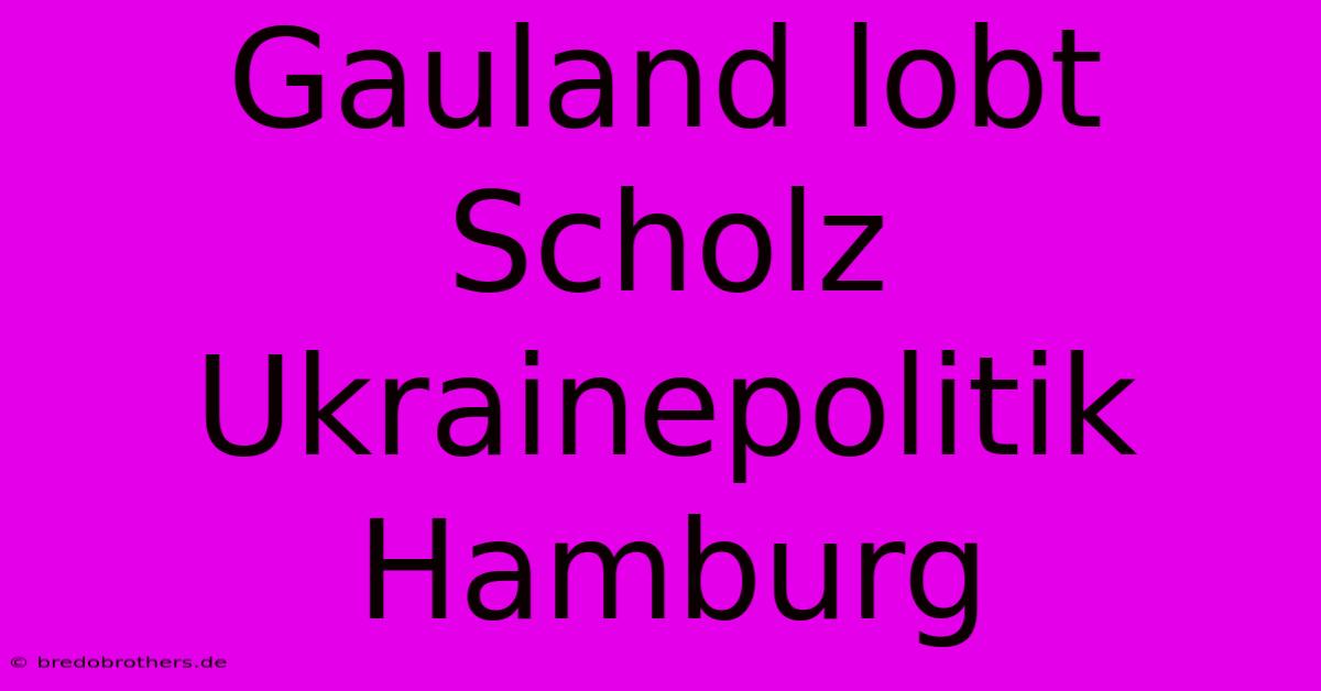 Gauland Lobt Scholz Ukrainepolitik Hamburg