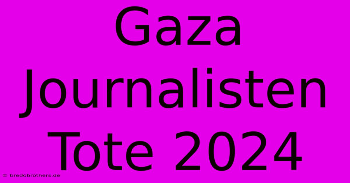 Gaza Journalisten Tote 2024