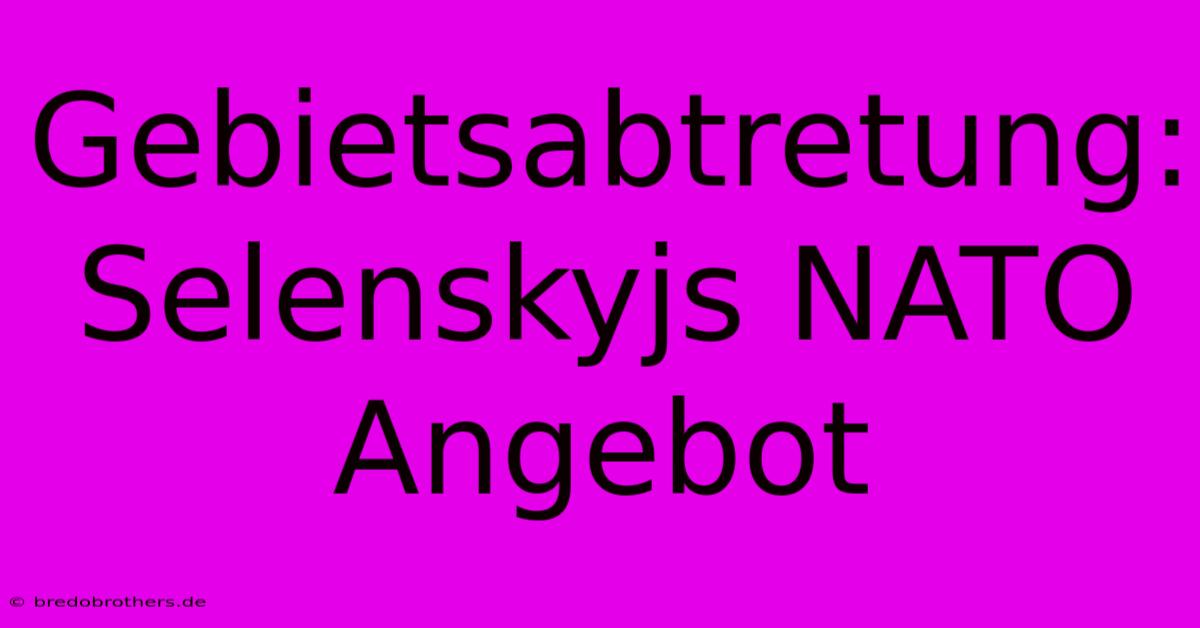 Gebietsabtretung: Selenskyjs NATO Angebot