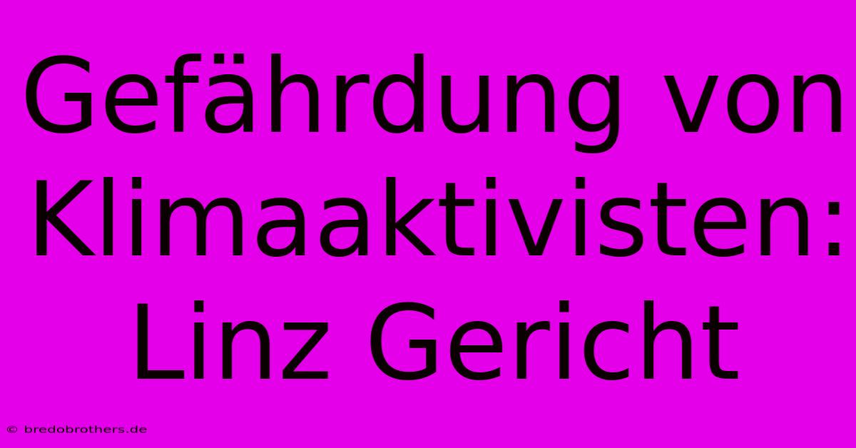 Gefährdung Von Klimaaktivisten: Linz Gericht