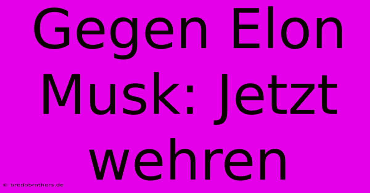 Gegen Elon Musk: Jetzt Wehren