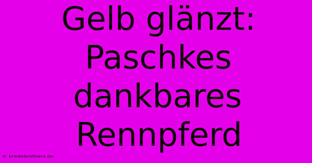 Gelb Glänzt: Paschkes Dankbares Rennpferd