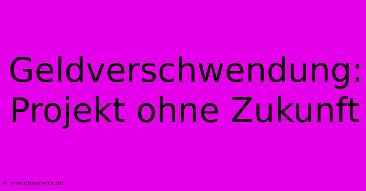 Geldverschwendung: Projekt Ohne Zukunft