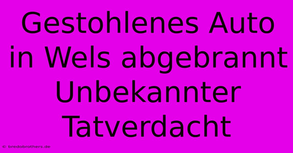 Gestohlenes Auto In Wels Abgebrannt Unbekannter Tatverdacht