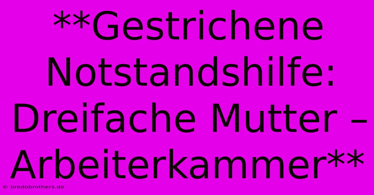 **Gestrichene Notstandshilfe: Dreifache Mutter – Arbeiterkammer**