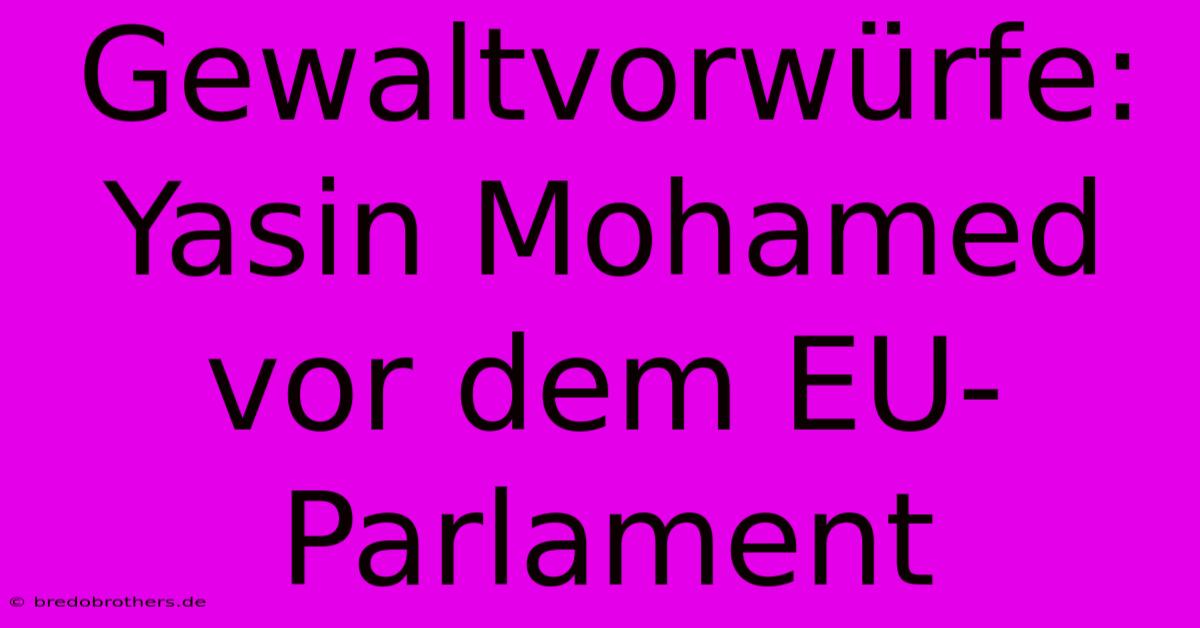 Gewaltvorwürfe: Yasin Mohamed Vor Dem EU-Parlament