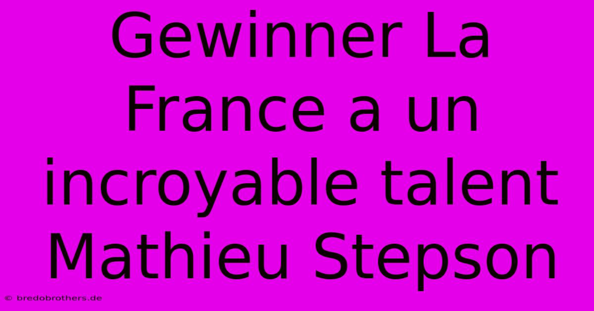 Gewinner La France A Un Incroyable Talent Mathieu Stepson