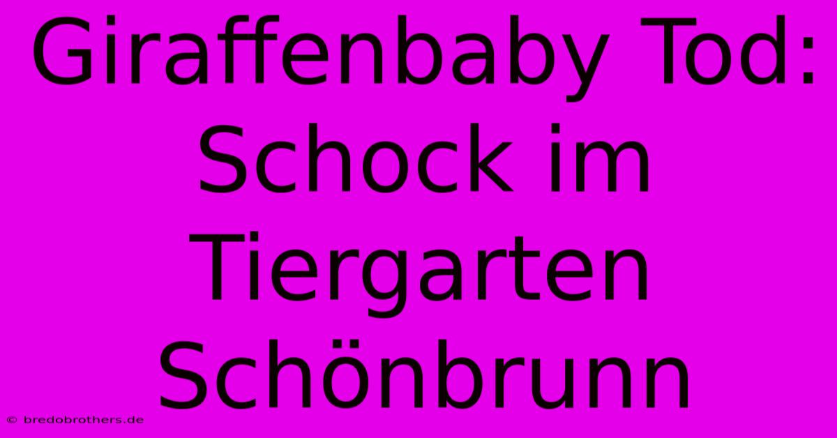 Giraffenbaby Tod: Schock Im Tiergarten Schönbrunn