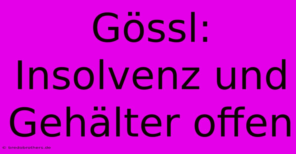 Gössl: Insolvenz Und Gehälter Offen