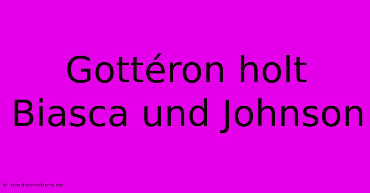 Gottéron Holt Biasca Und Johnson