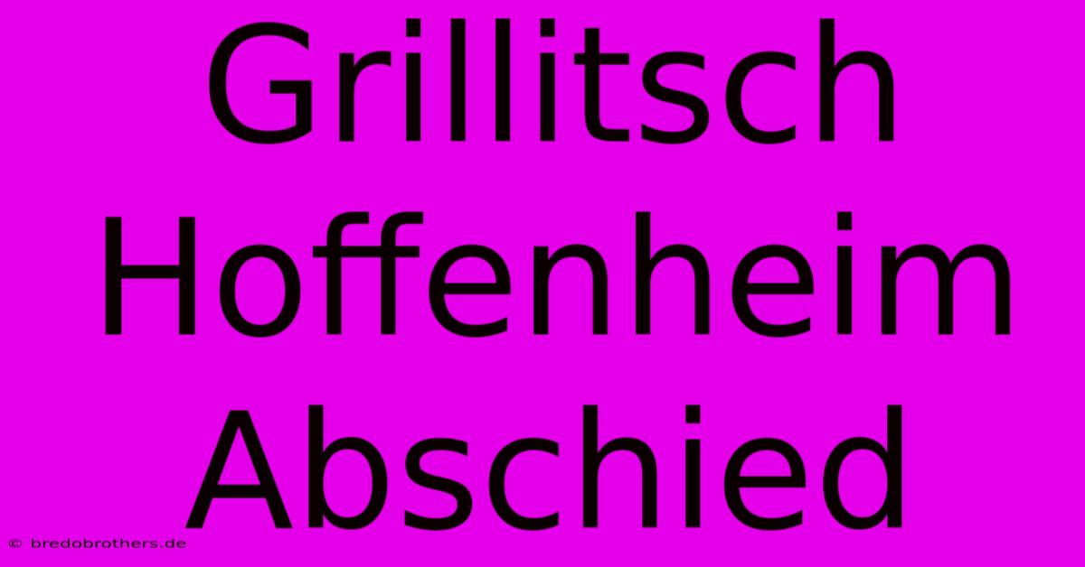 Grillitsch Hoffenheim Abschied  