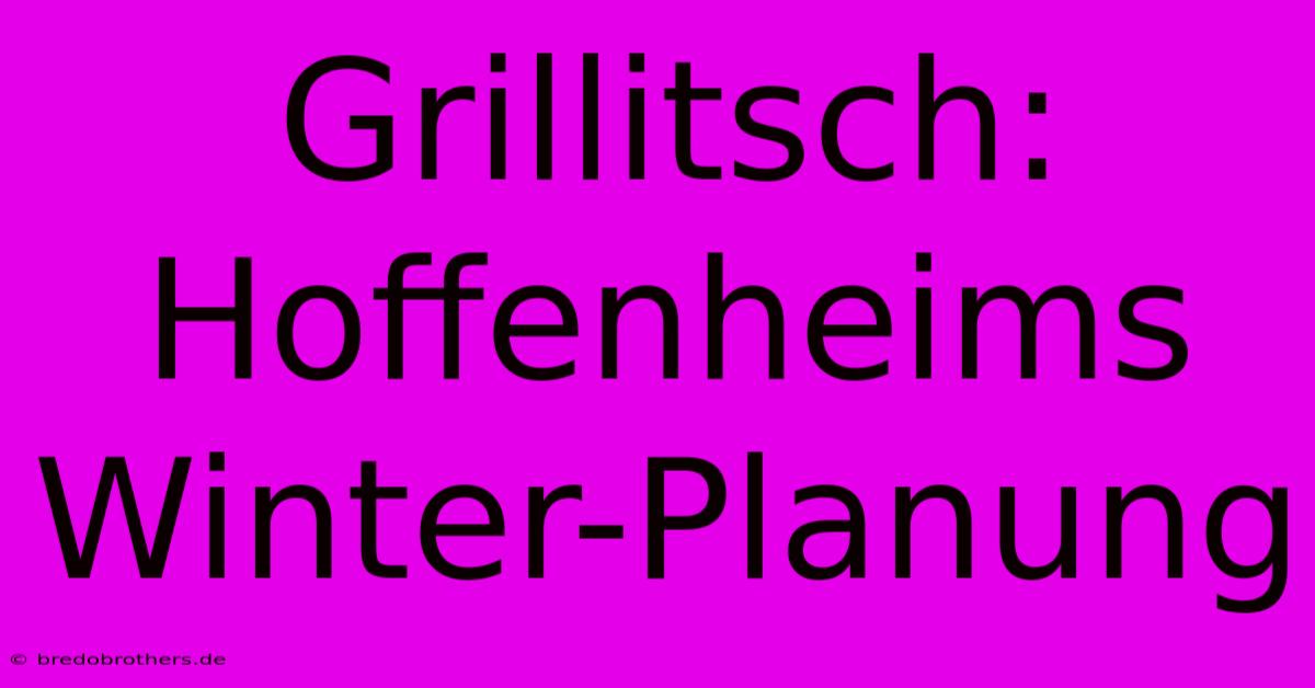 Grillitsch: Hoffenheims Winter-Planung