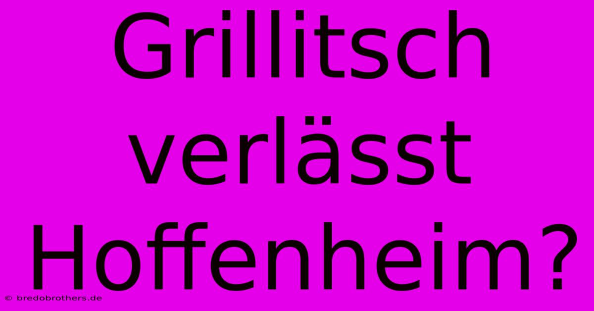 Grillitsch Verlässt Hoffenheim?