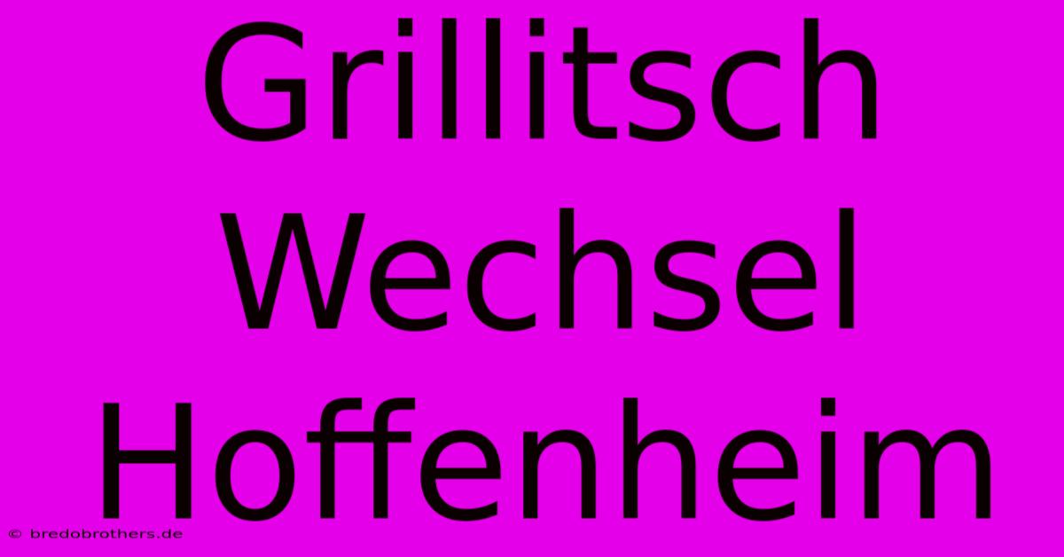 Grillitsch Wechsel Hoffenheim  