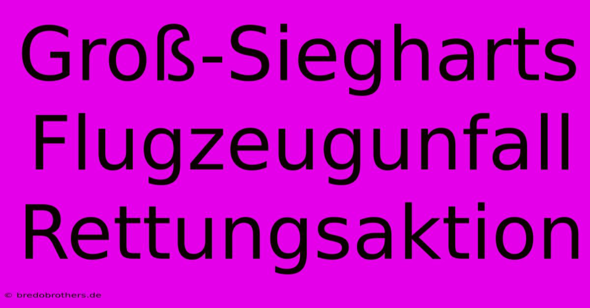 Groß-Siegharts Flugzeugunfall Rettungsaktion