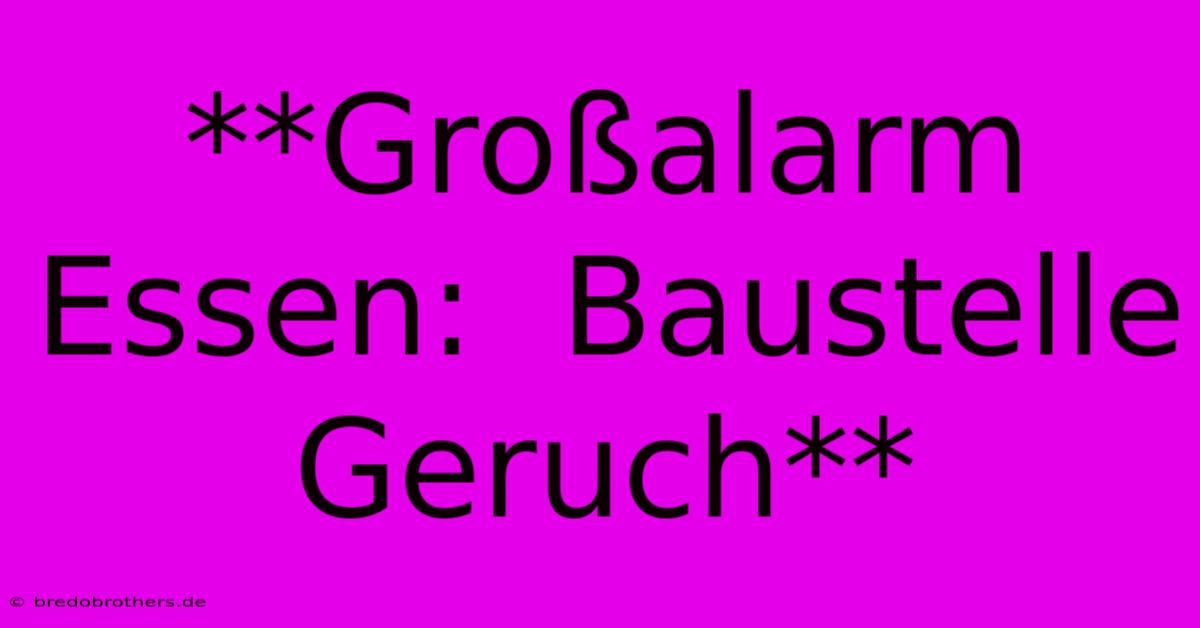 **Großalarm Essen:  Baustelle Geruch**