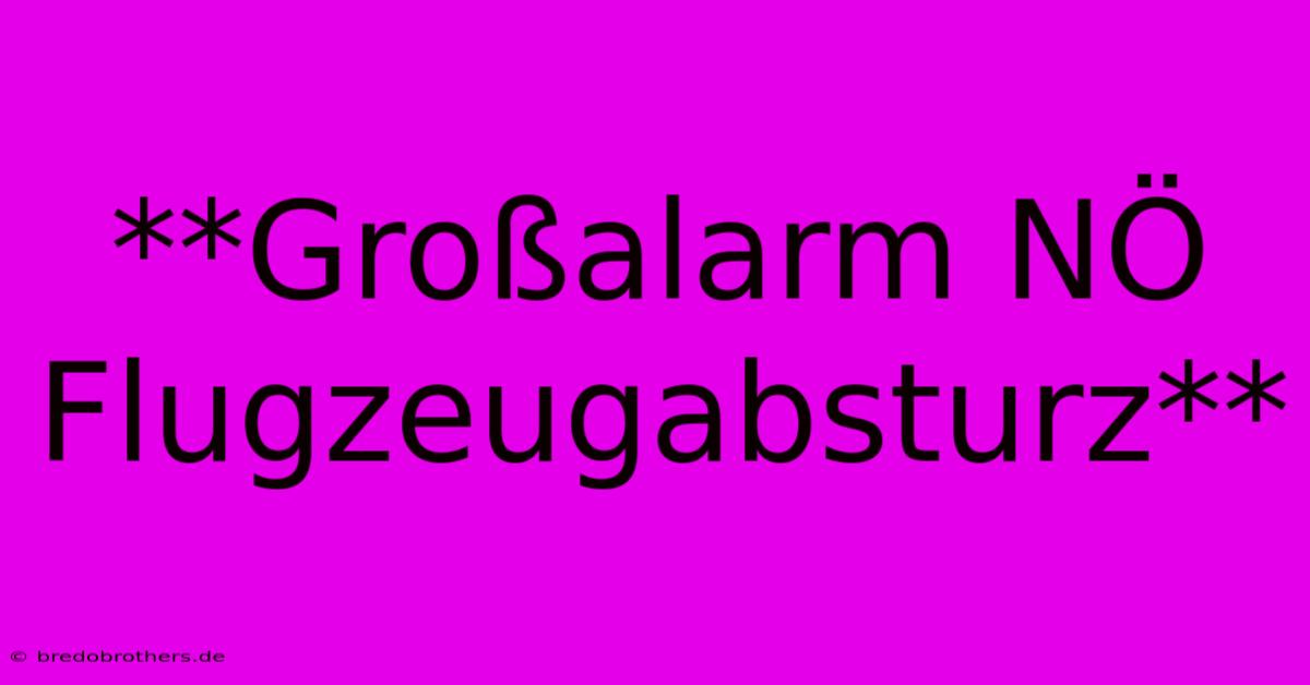 **Großalarm NÖ Flugzeugabsturz**