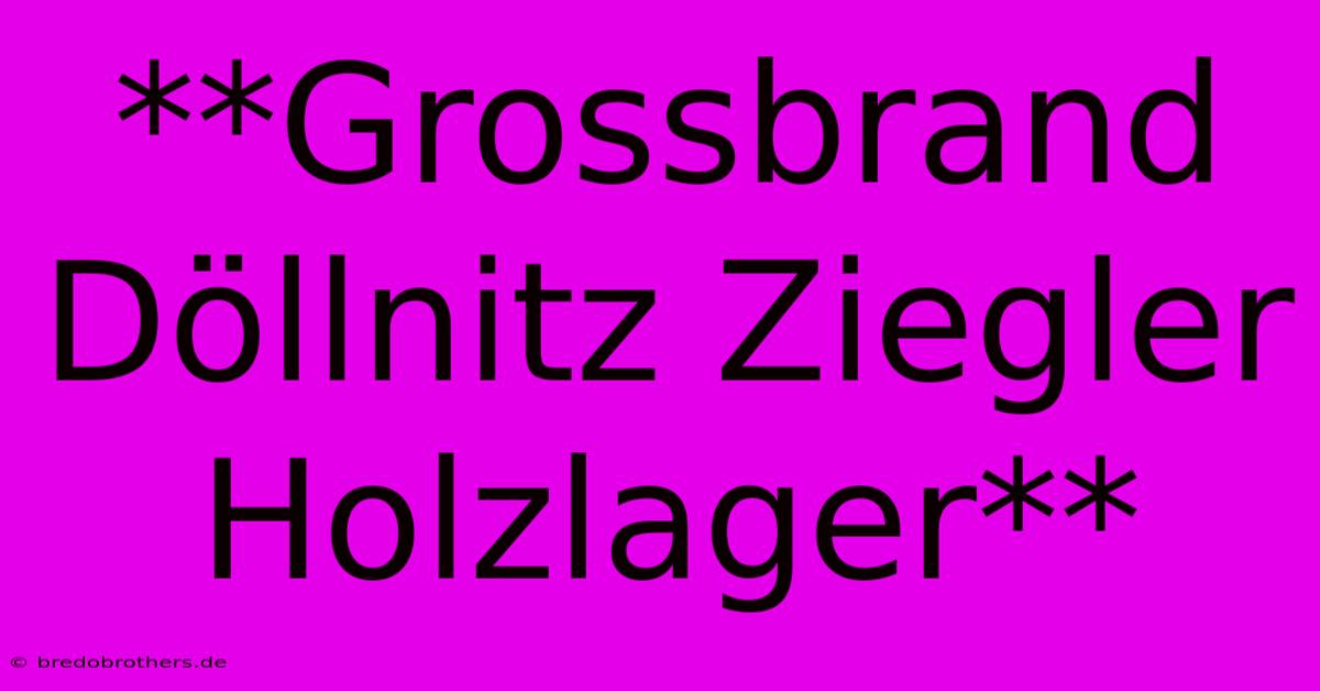 **Grossbrand Döllnitz Ziegler Holzlager**