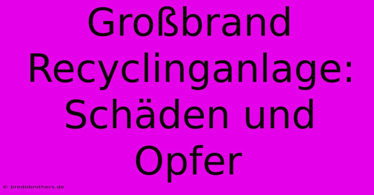 Großbrand Recyclinganlage: Schäden Und Opfer