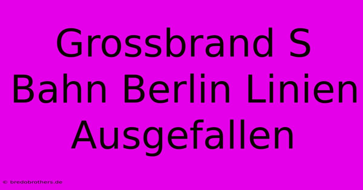 Grossbrand S Bahn Berlin Linien Ausgefallen