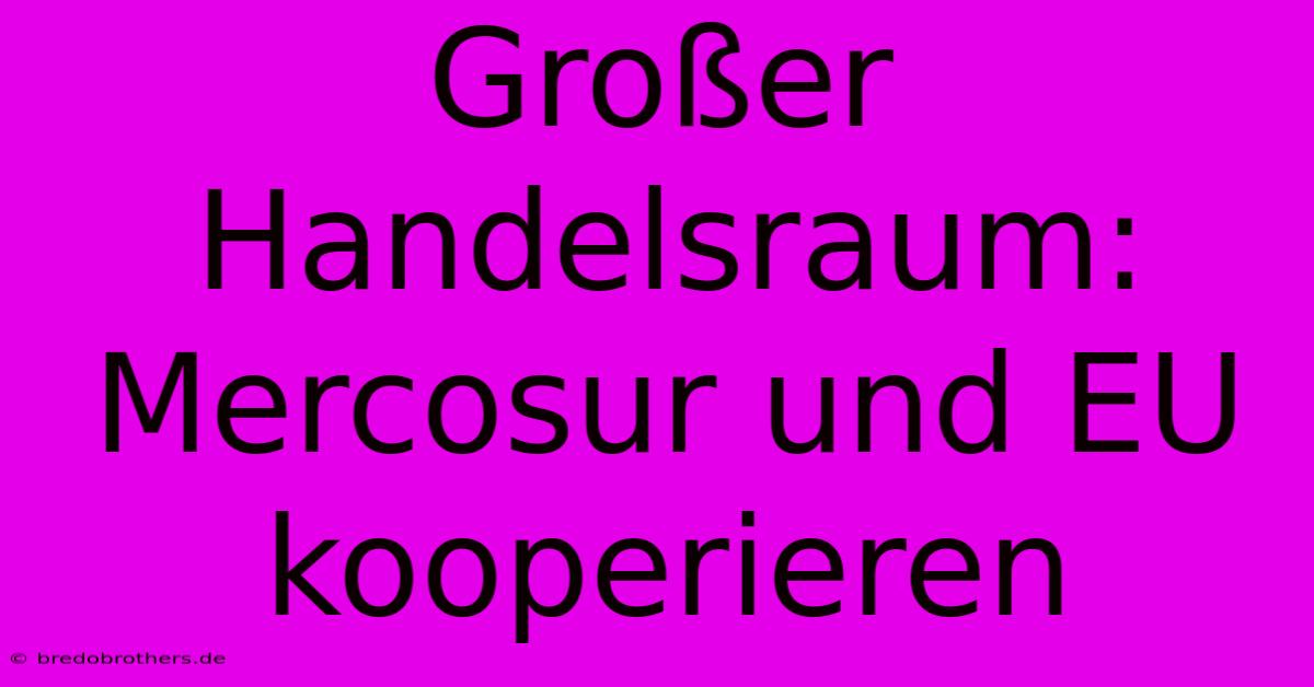 Großer Handelsraum: Mercosur Und EU Kooperieren