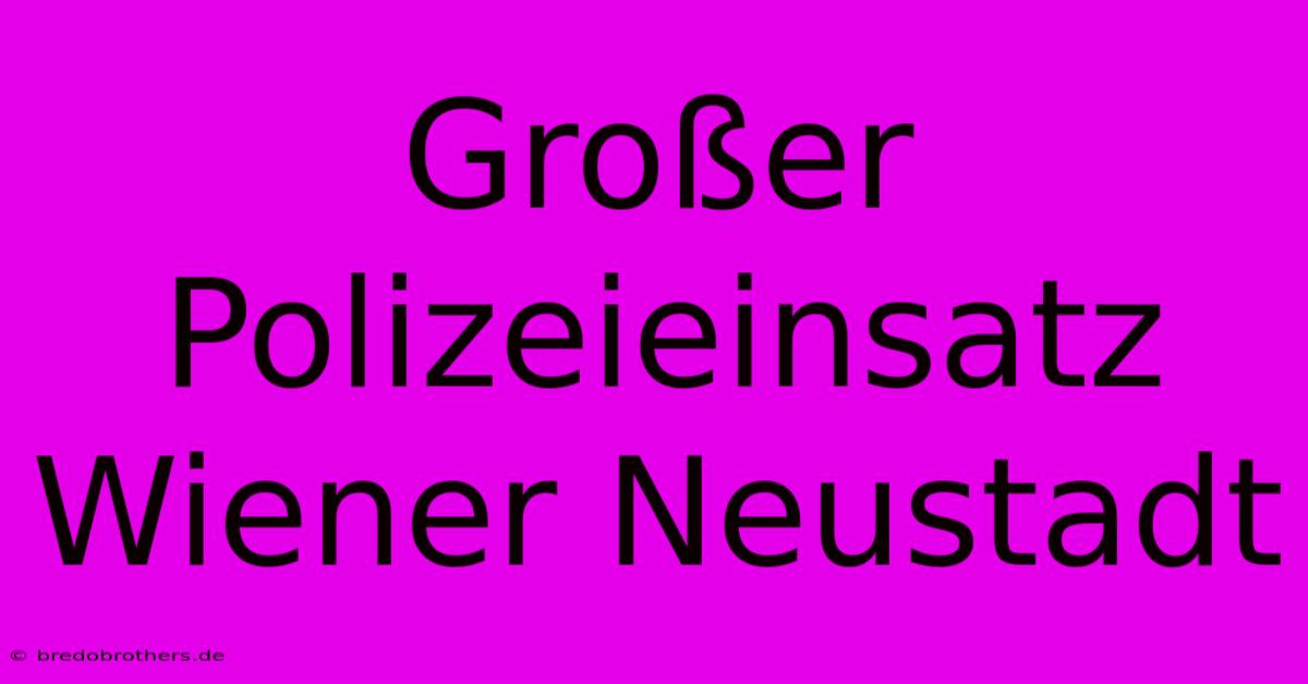 Großer Polizeieinsatz Wiener Neustadt