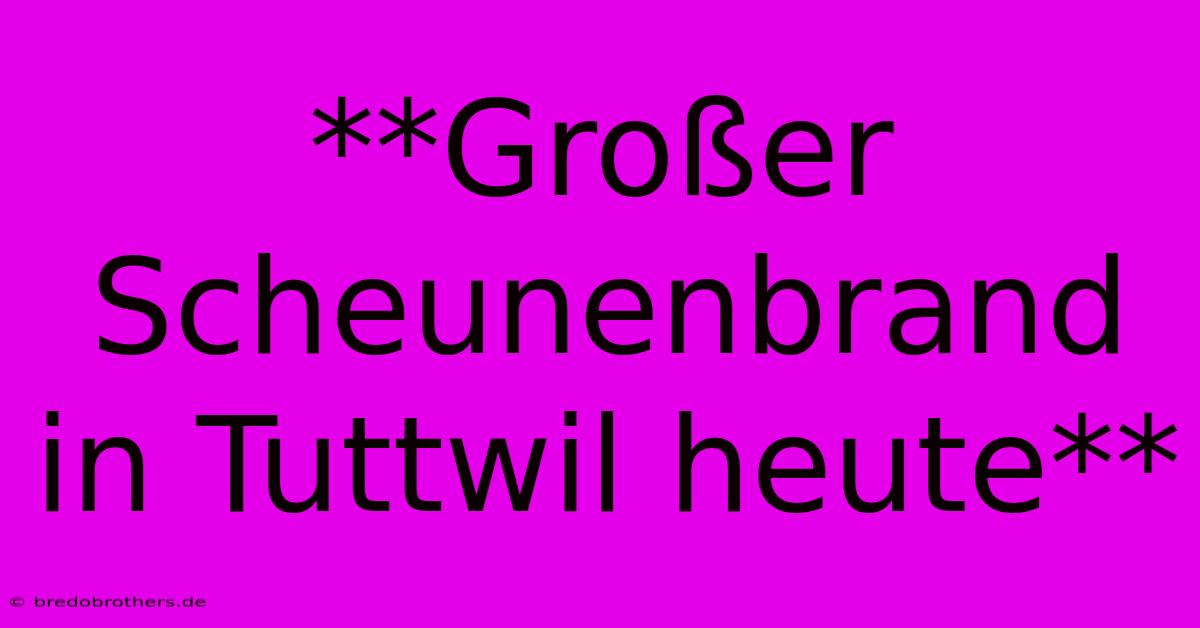 **Großer Scheunenbrand In Tuttwil Heute**