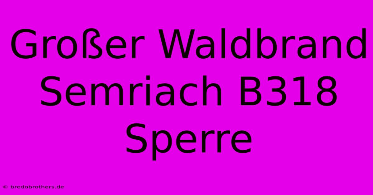 Großer Waldbrand Semriach B318 Sperre