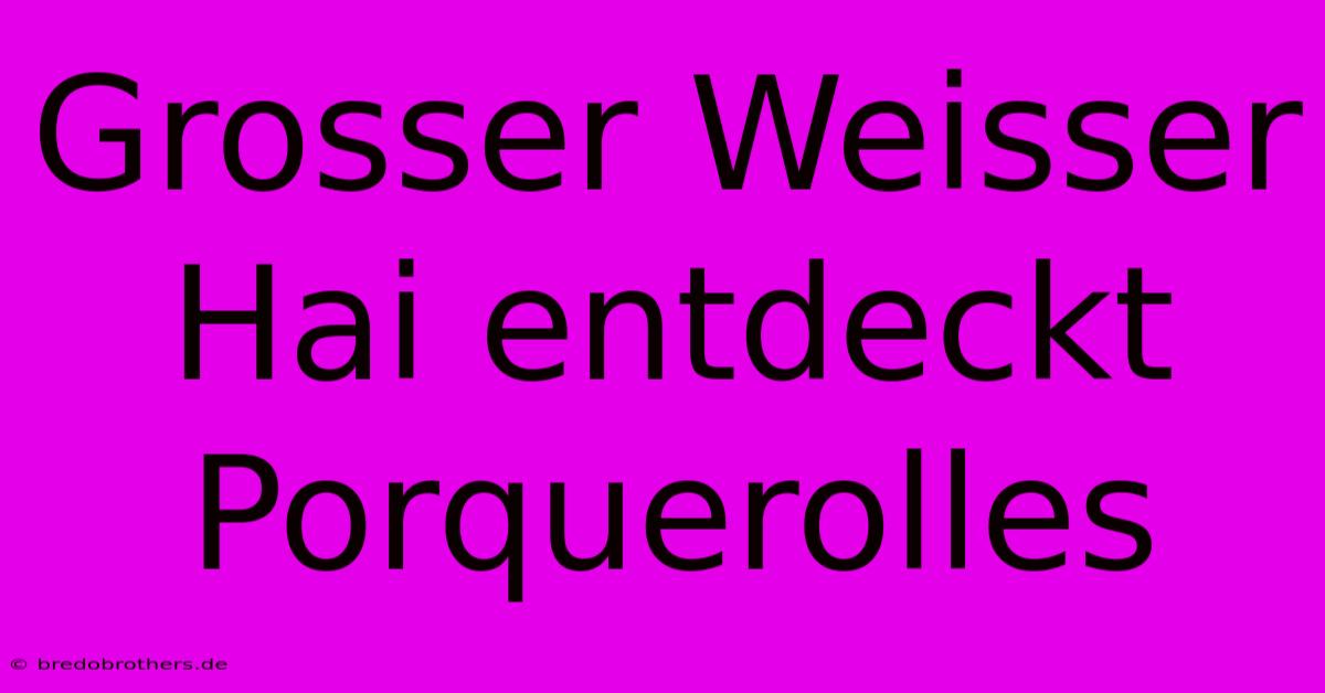 Grosser Weisser Hai Entdeckt Porquerolles