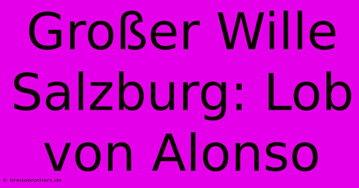 Großer Wille Salzburg: Lob Von Alonso