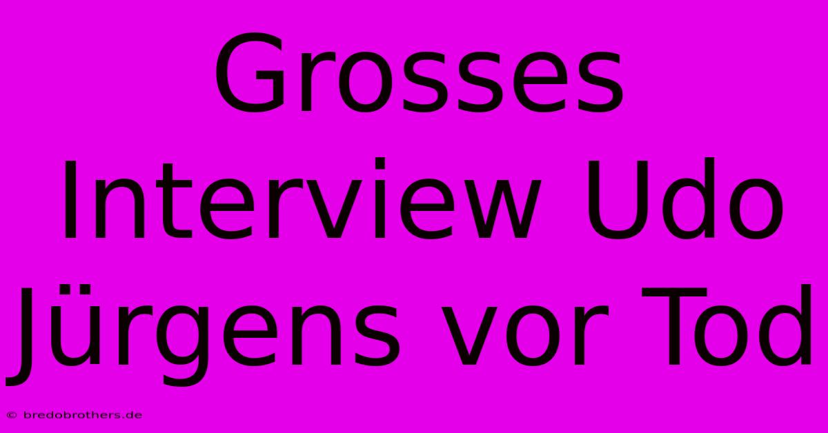 Grosses Interview Udo Jürgens Vor Tod