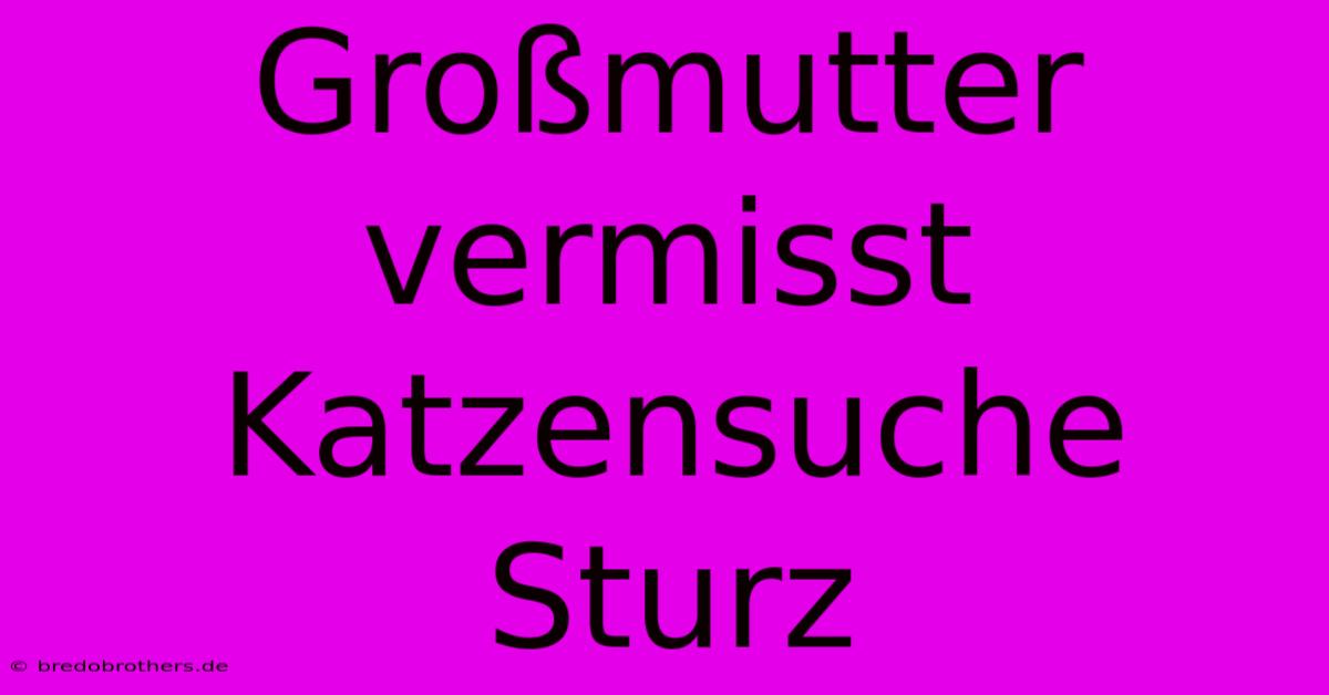 Großmutter Vermisst Katzensuche Sturz