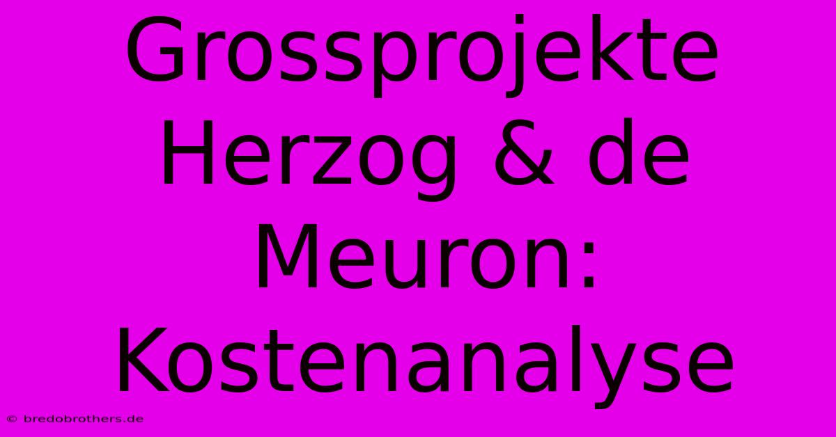 Grossprojekte Herzog & De Meuron: Kostenanalyse