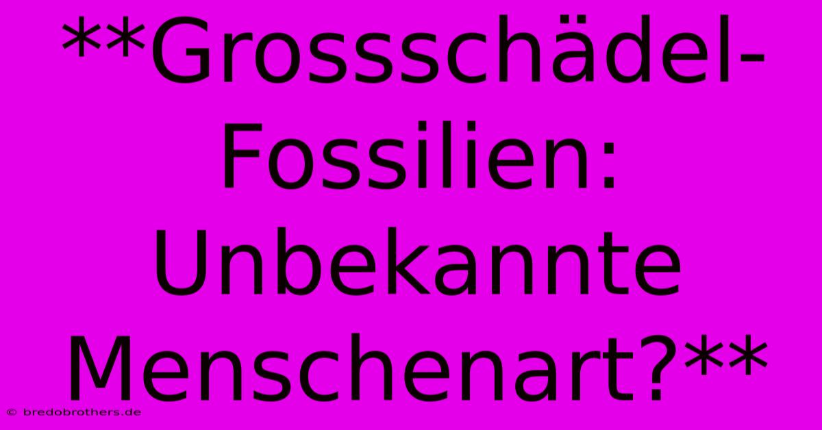 **Grossschädel-Fossilien: Unbekannte Menschenart?**