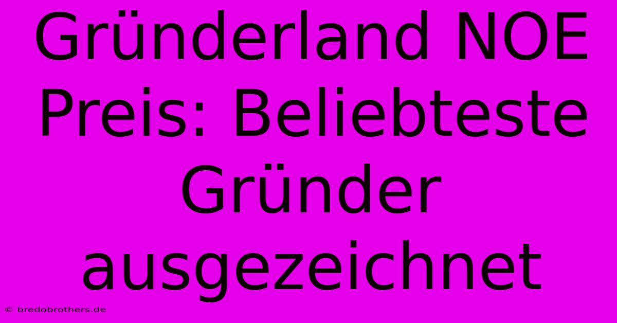 Gründerland NOE Preis: Beliebteste Gründer Ausgezeichnet