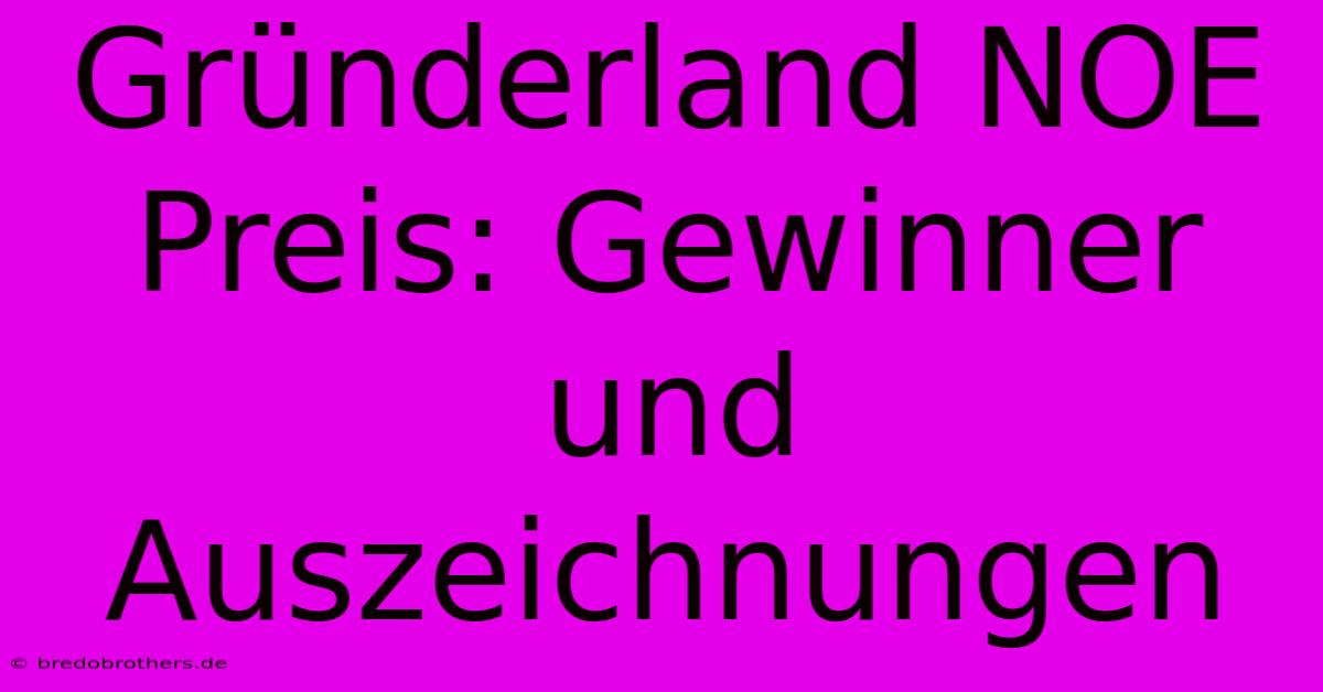 Gründerland NOE Preis: Gewinner Und Auszeichnungen