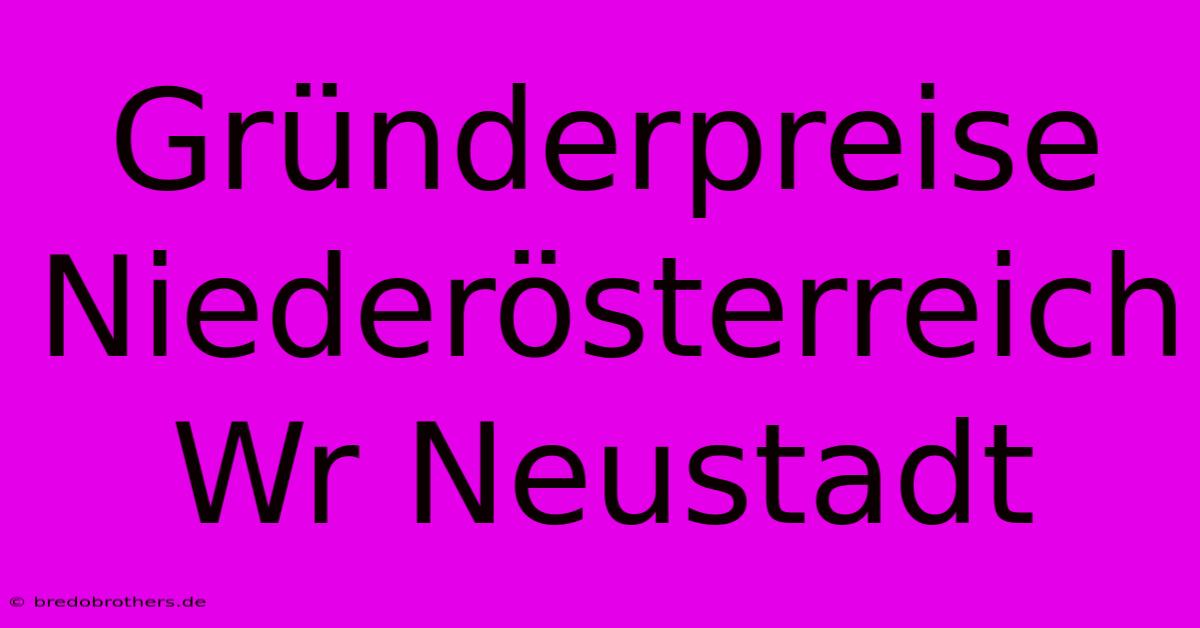 Gründerpreise Niederösterreich Wr Neustadt